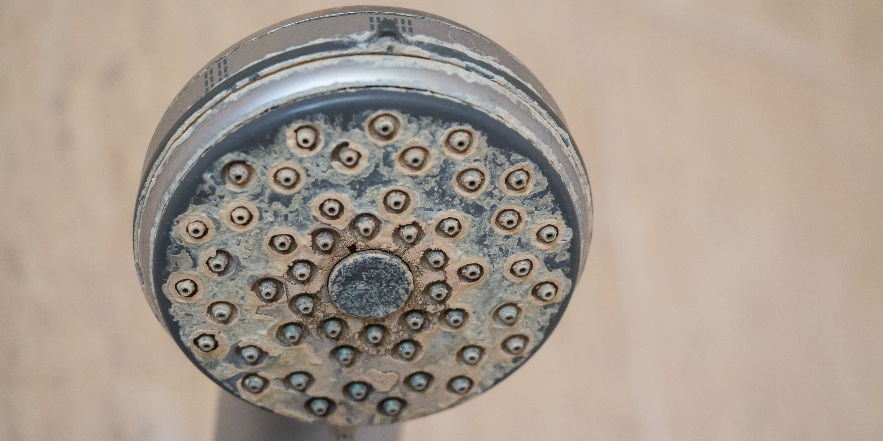 Fabriek steeg operator Kalk verwijderen douche: tips & oplossingen [+ Prijzen]